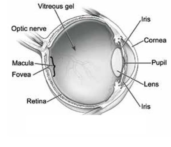 sight-and-vision-ifr-magazine